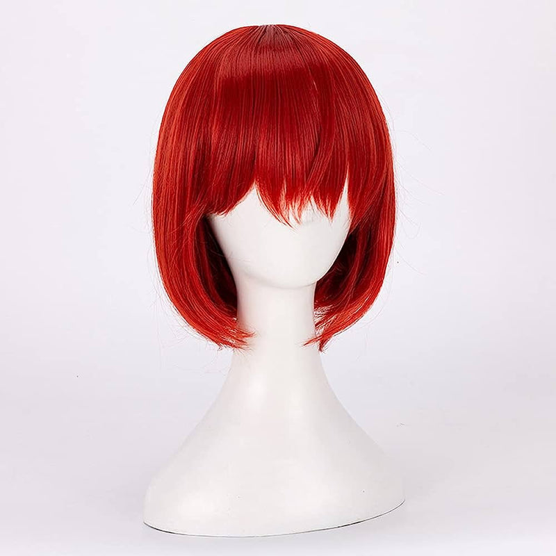 The Ancient Magus Bride Chise Hatori Cosplay Wig