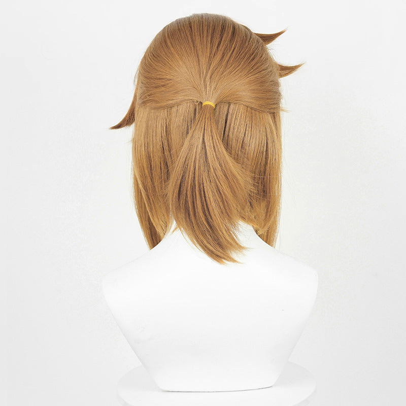 The Legend of Zelda Link Cosplay Wigs