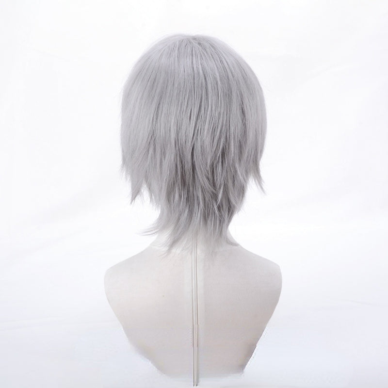 Devil May Cry Dante Gray Cosplay Wig