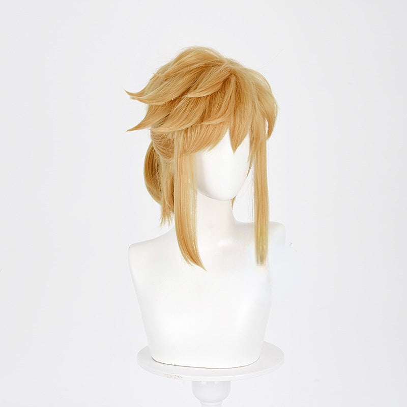 The Legend of Zelda Link Cosplay Wig