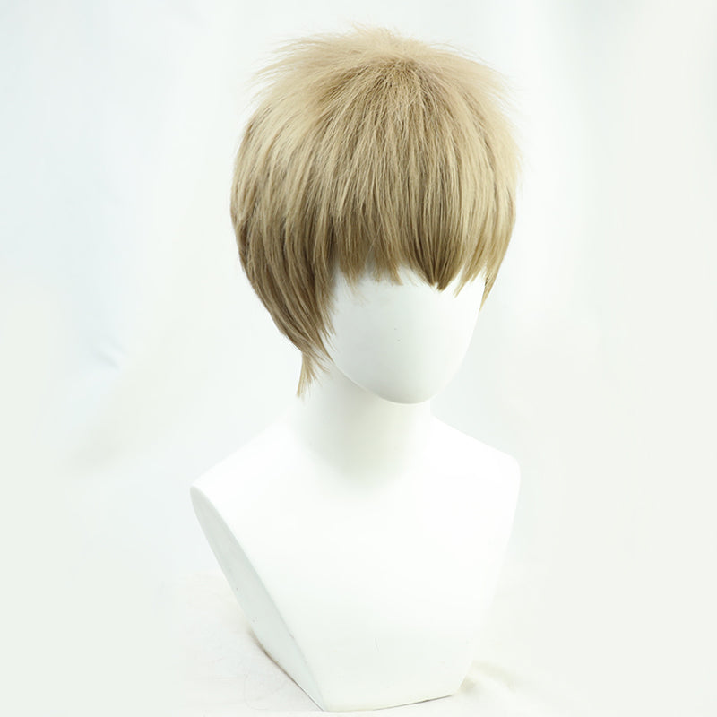 Attack on Titan Falco Grice Cosplay Wig