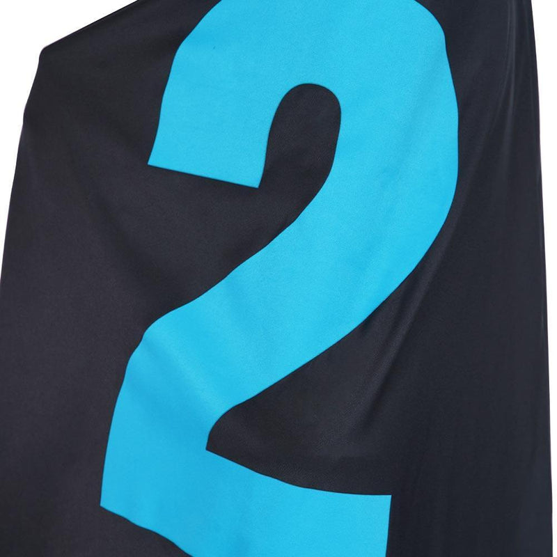 One Piece Vinsmokefamily Combat Suit Vinsmoke Niji Halloween Carnival Outfit Cosplay Costume - CrazeCosplay