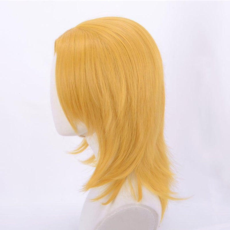 JoJo's Bizarre Adventure Johnny Joestar Cosplay Wig - CrazeCosplay