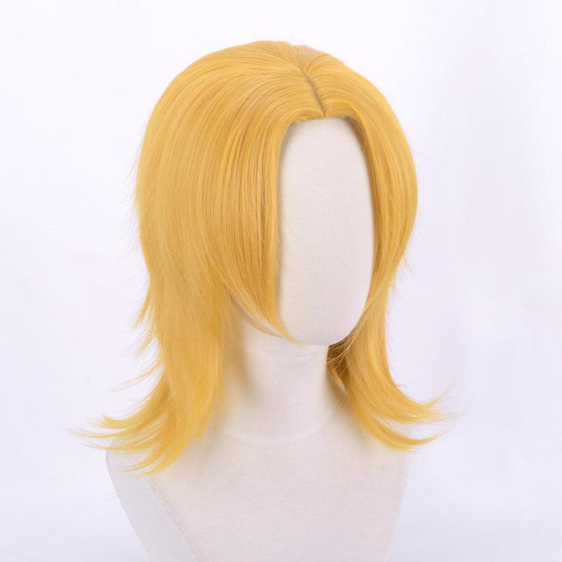 JoJo's Bizarre Adventure Johnny Joestar Cosplay Wig - CrazeCosplay